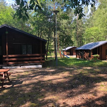Lesnik Bungalow Stegna - Domki Letniskowe Nad Morzem 外观 照片