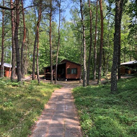 Lesnik Bungalow Stegna - Domki Letniskowe Nad Morzem 外观 照片