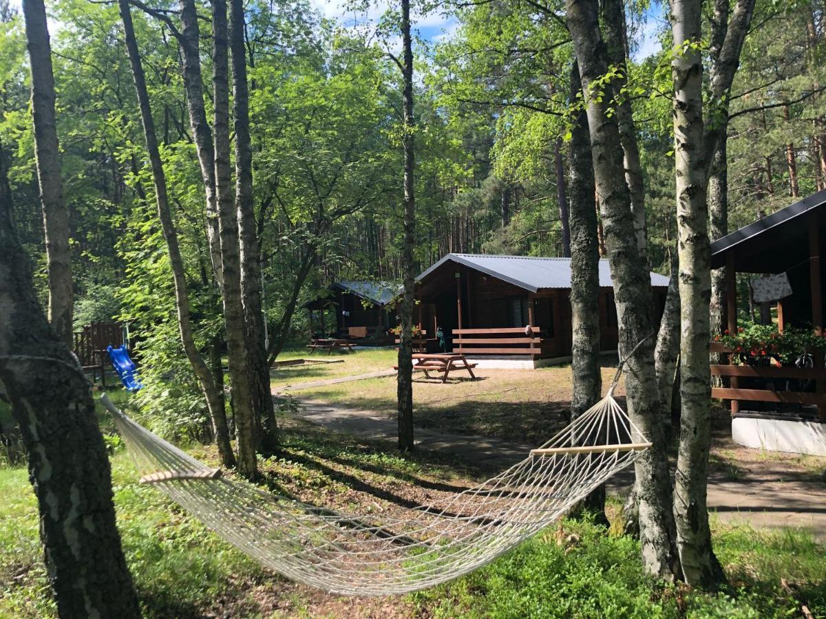 Lesnik Bungalow Stegna - Domki Letniskowe Nad Morzem 外观 照片