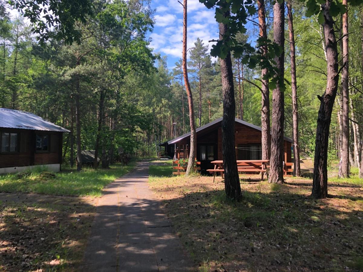 Lesnik Bungalow Stegna - Domki Letniskowe Nad Morzem 外观 照片