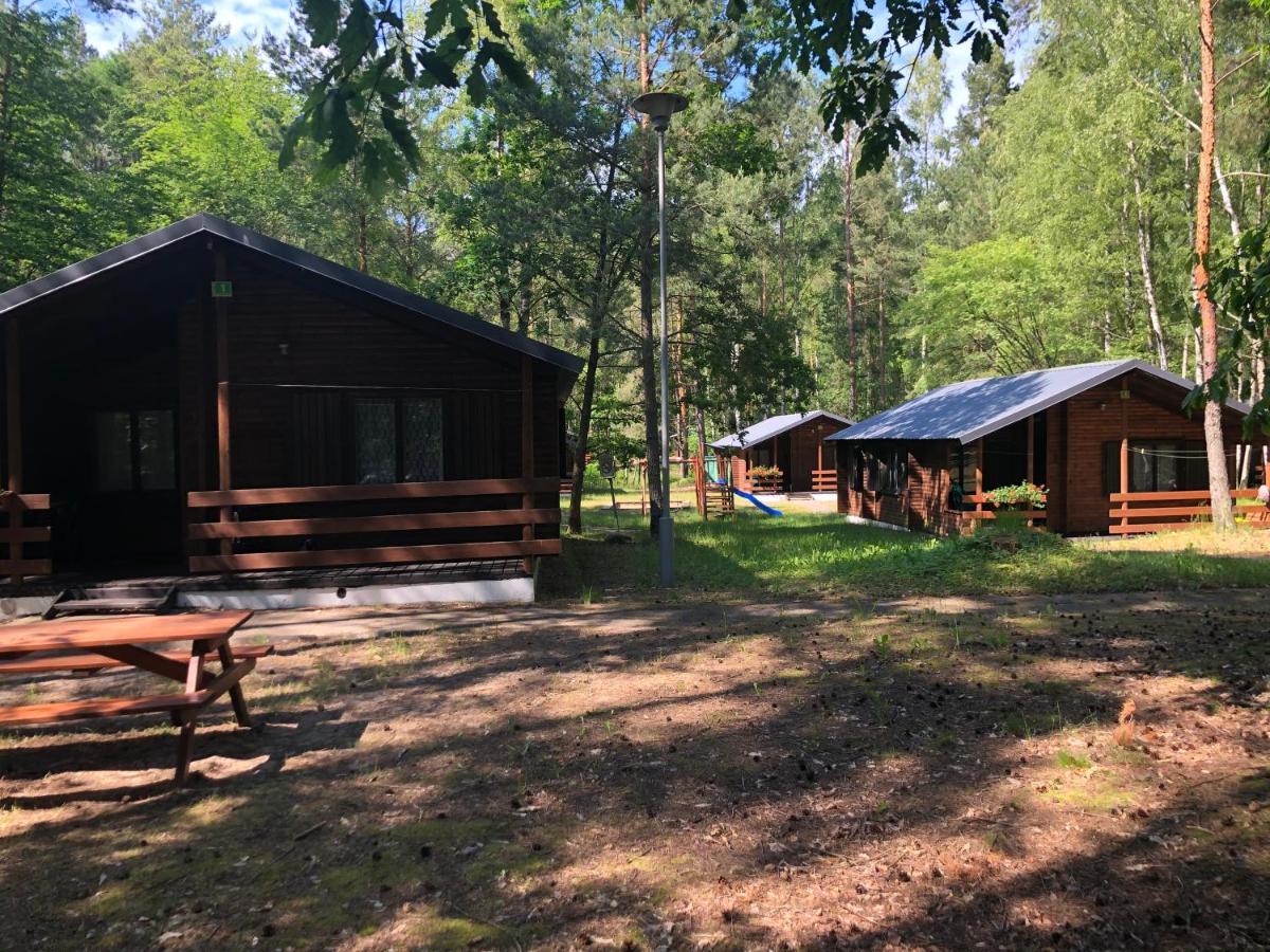 Lesnik Bungalow Stegna - Domki Letniskowe Nad Morzem 外观 照片