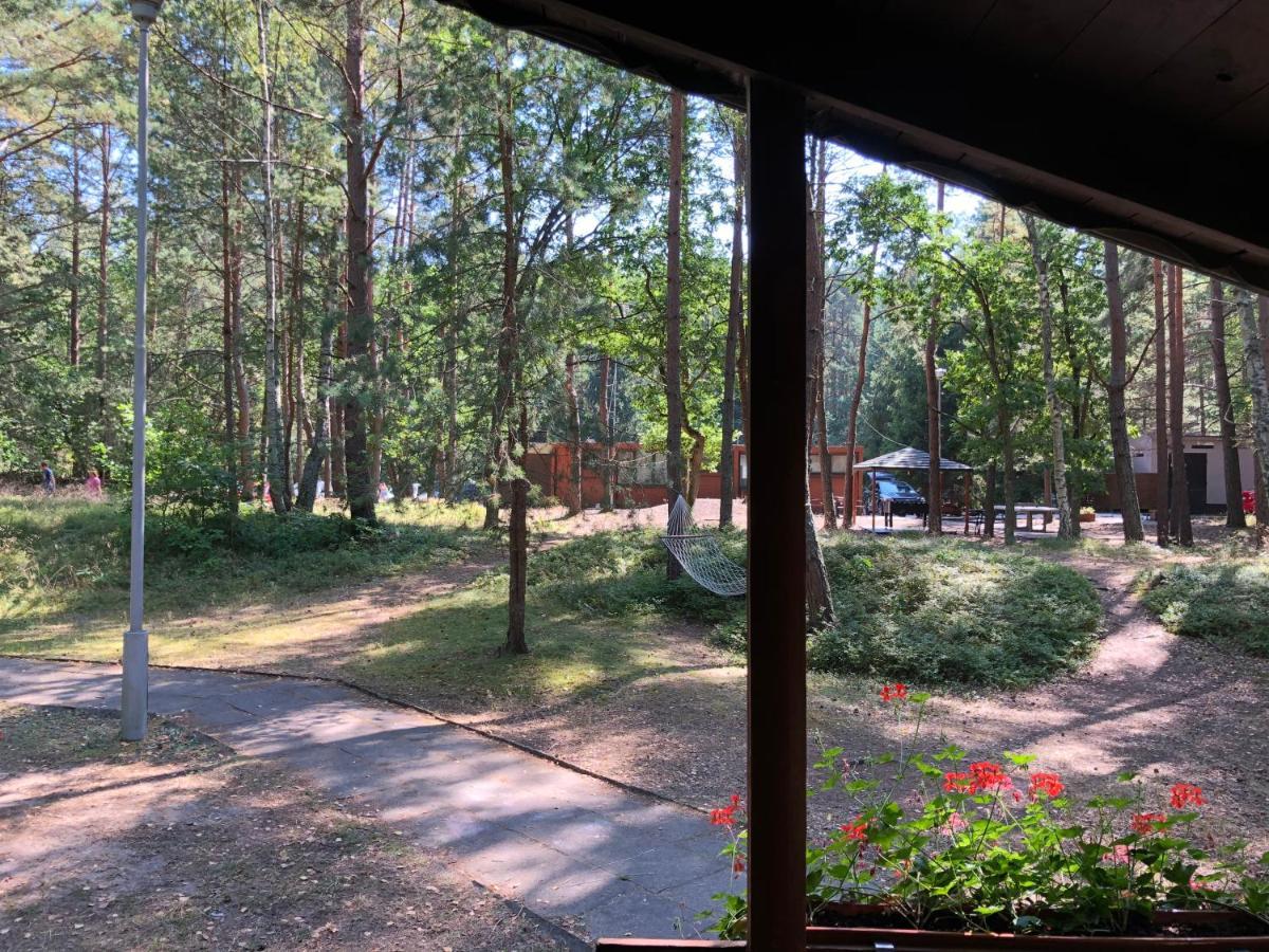 Lesnik Bungalow Stegna - Domki Letniskowe Nad Morzem 外观 照片