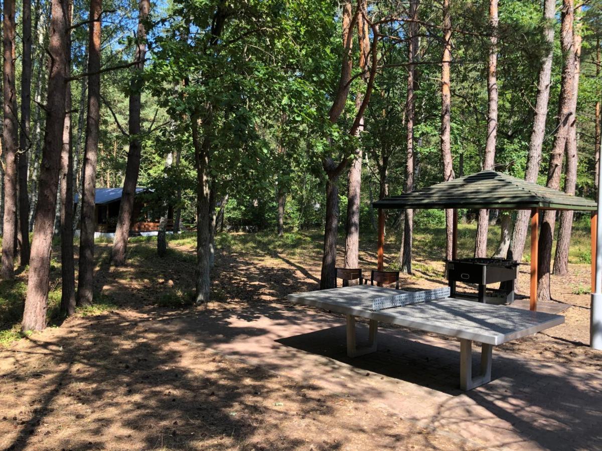 Lesnik Bungalow Stegna - Domki Letniskowe Nad Morzem 外观 照片