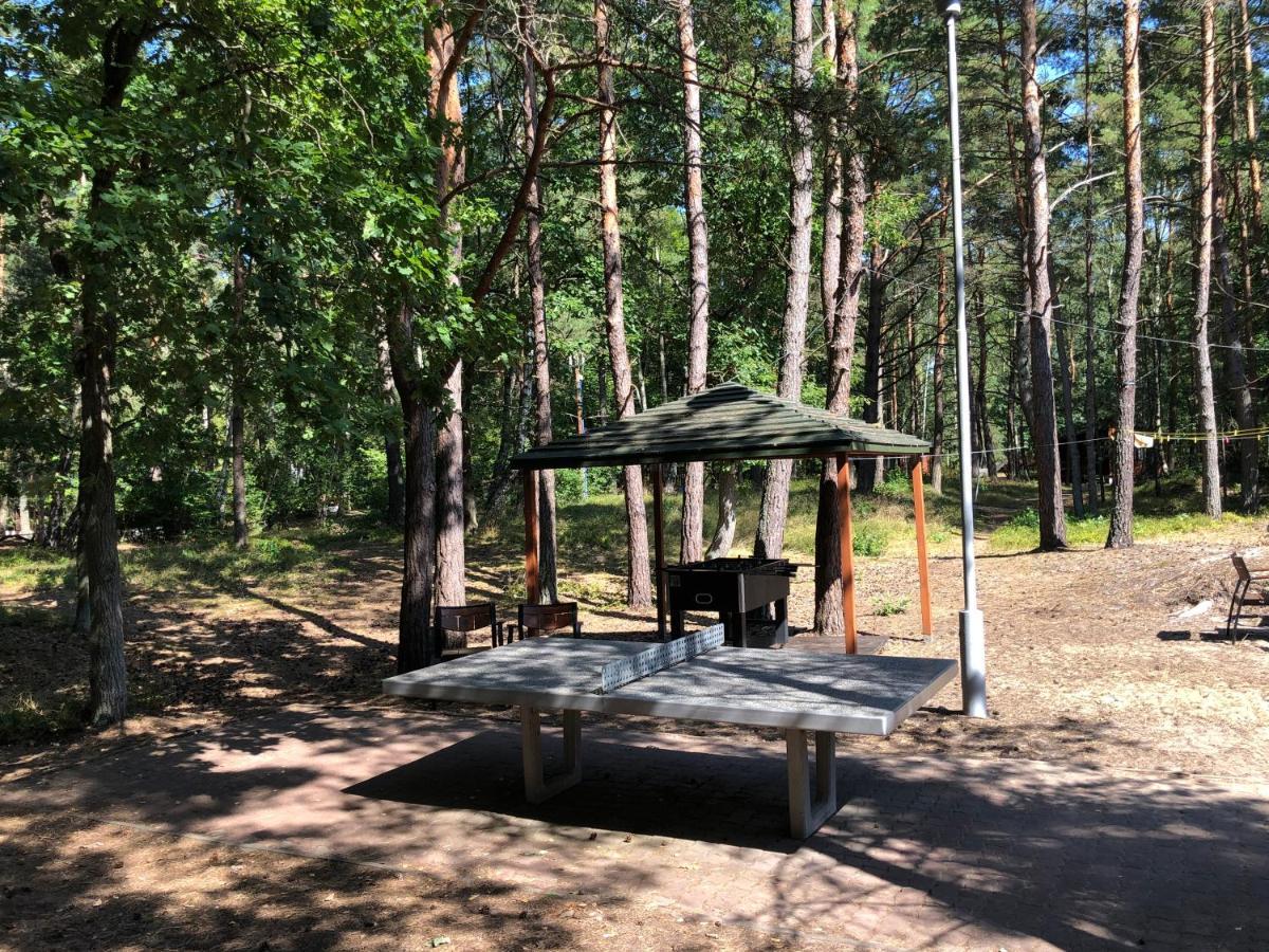 Lesnik Bungalow Stegna - Domki Letniskowe Nad Morzem 外观 照片