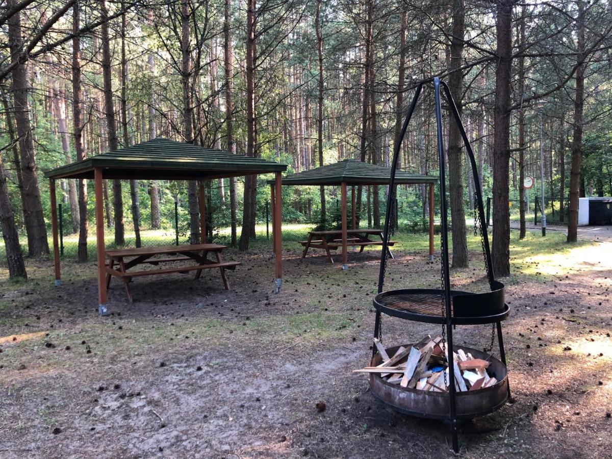 Lesnik Bungalow Stegna - Domki Letniskowe Nad Morzem 外观 照片
