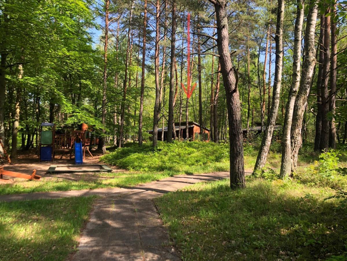 Lesnik Bungalow Stegna - Domki Letniskowe Nad Morzem 外观 照片