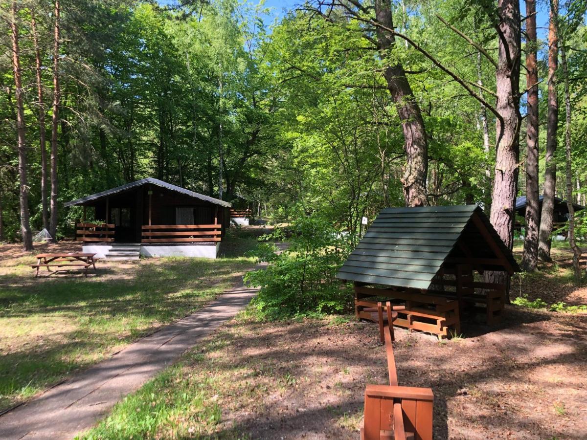 Lesnik Bungalow Stegna - Domki Letniskowe Nad Morzem 外观 照片