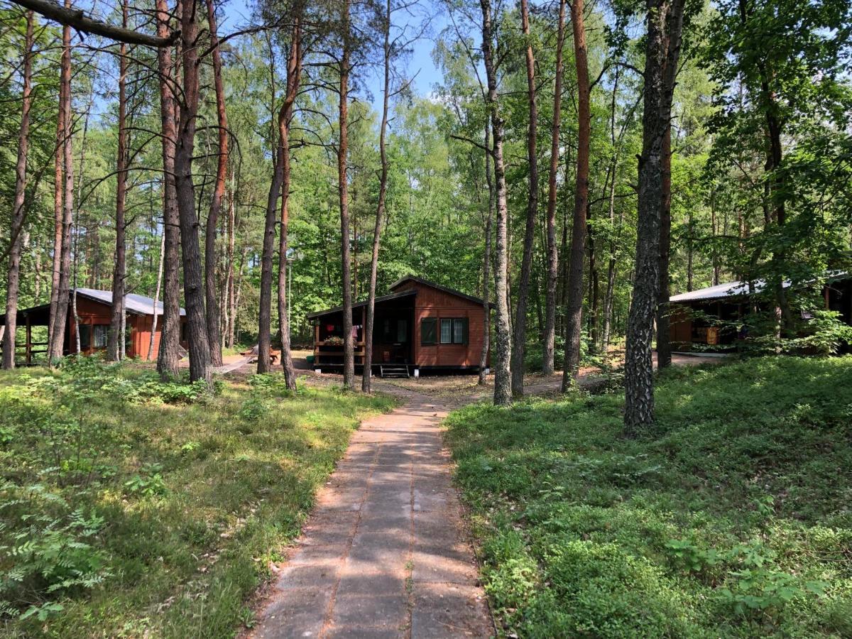 Lesnik Bungalow Stegna - Domki Letniskowe Nad Morzem 外观 照片