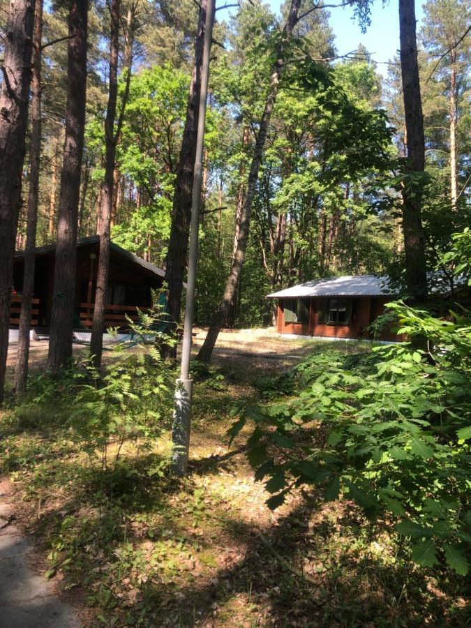 Lesnik Bungalow Stegna - Domki Letniskowe Nad Morzem 外观 照片